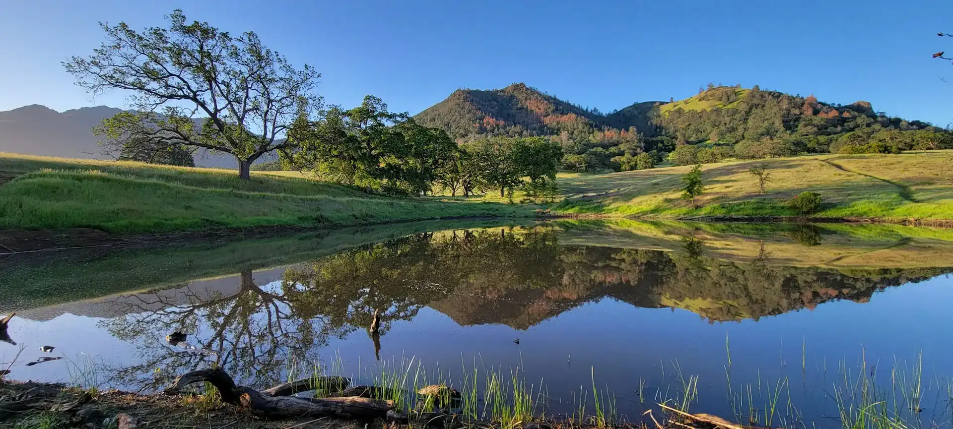 Lake surrounded by green hills in the Tri-Valley